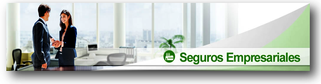 SEGUROS EMPRESARIALES